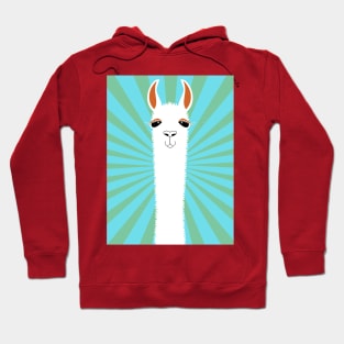 Flamboyant Llama Hoodie